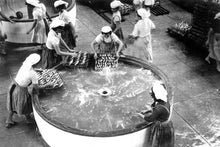 Load image into Gallery viewer, Georgette -  Small Sardines in Vegetable Oil