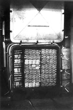 Load image into Gallery viewer, Georgette - Salmon in Olive Oil with Thyme ( Bela-Luz ) da Serra da Arrabida