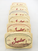 Load image into Gallery viewer, Jupiter - Horse Mackerel Fillets in Organic Olive Oil