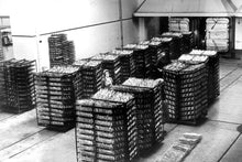 Load image into Gallery viewer, Valflor - Tuna Fillets ao Natural